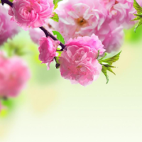 Just for fun ߘ0ߘ0ߘ