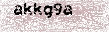Reload Image