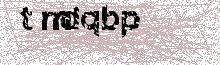 Reload Image